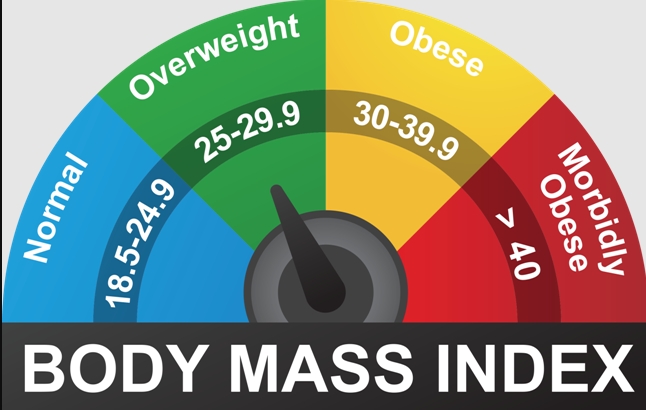 BMI (Body Mass Index)